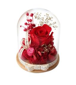 Valentine's Day Preserved Flowers (Multicolor)