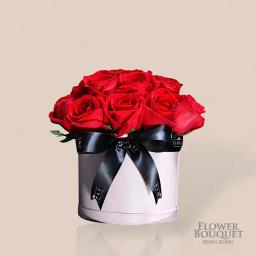 red rose flower blue