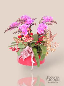 Fine Flower Orchid Tray Liuchang (Light Pink)