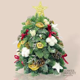 Mini Christmas Tree (Fresh Noble Pine) Style A